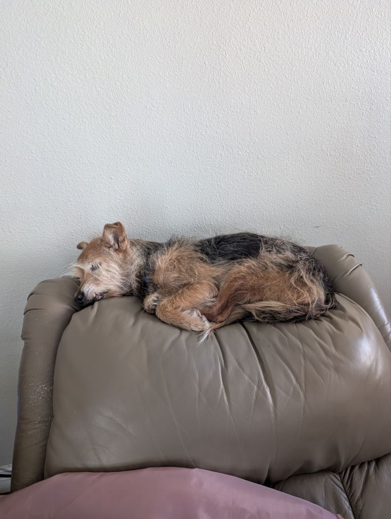 pxl_20250220_1754168964641867659154881106