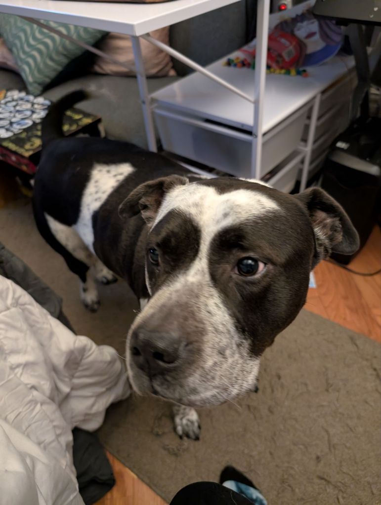 pxl_20250223_003203814497405559529538522