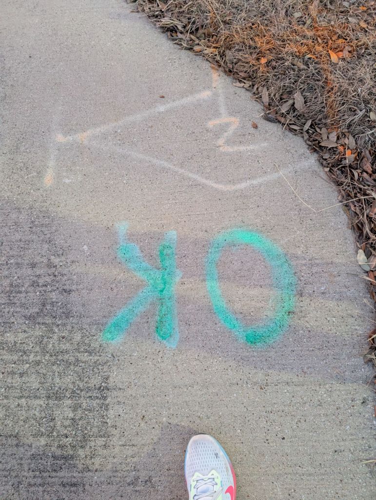 pxl_20250228_0037587801614363180675022439