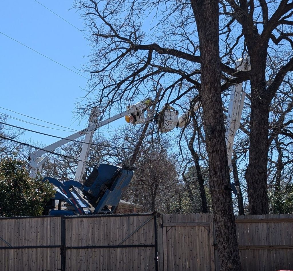 pxl_20250311_1805361442802125803160687792.