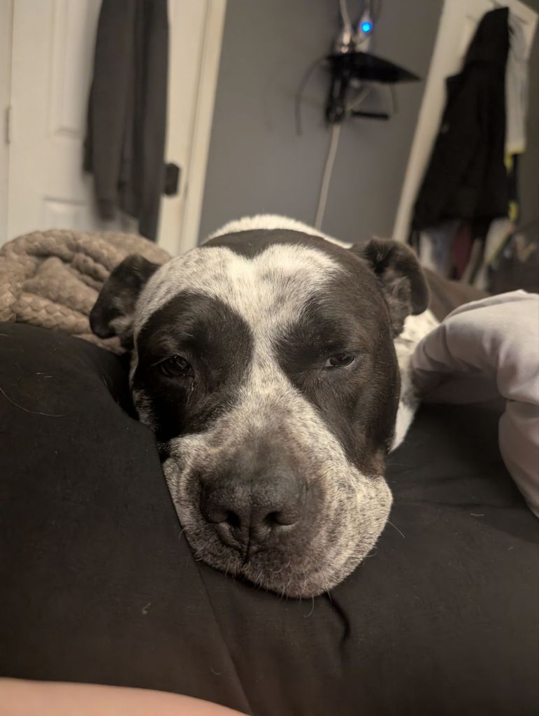 pxl_20250404_0121375464466775753536989279