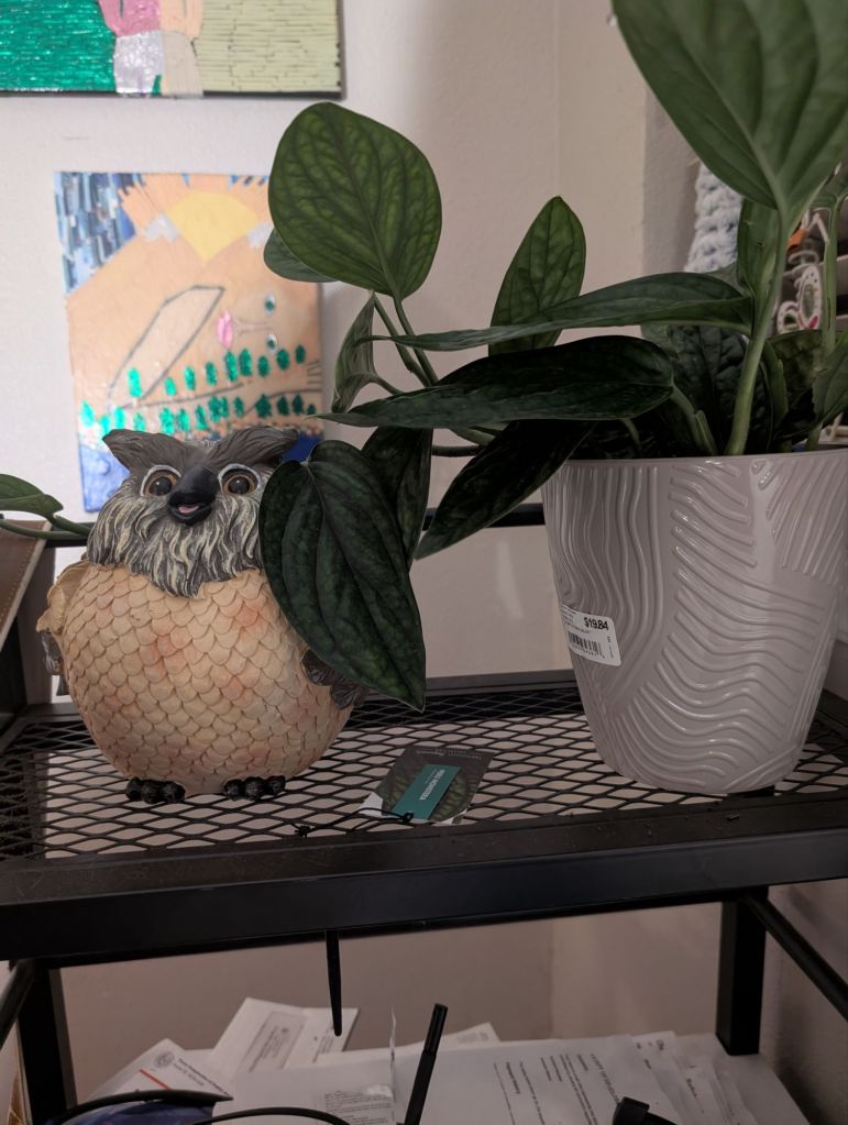 pxl_20250426_1033222477536119063767449546