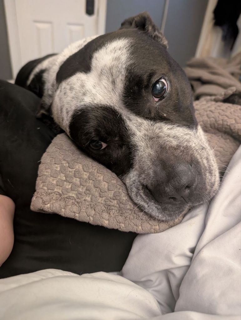 pxl_20250428_2326504279168247591912236987