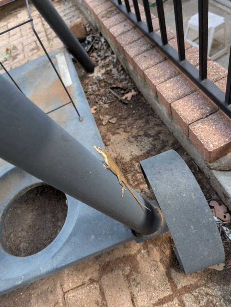 pxl_20250709_2339049171134829331960198470