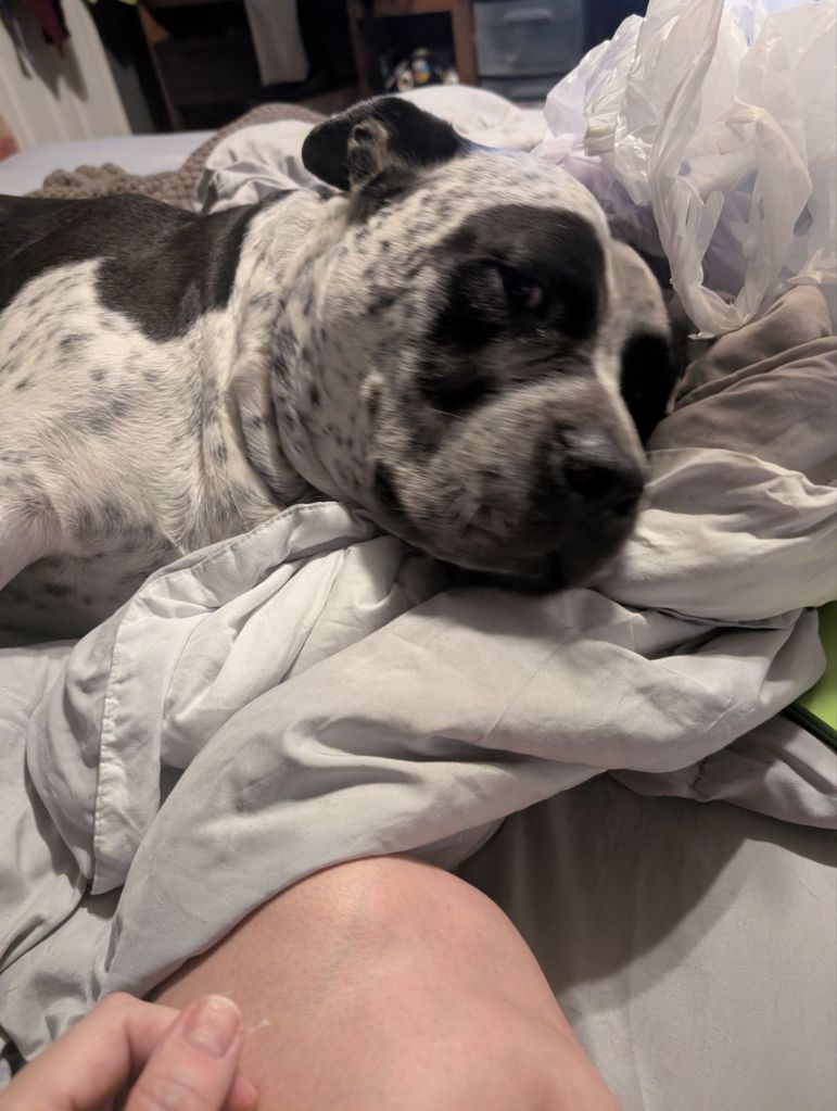 pxl_20250913_0017062574974360046442015814