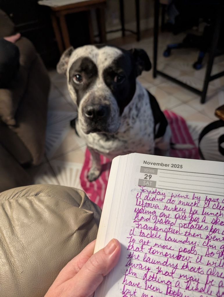 pxl_20251129_1320505501641223024799674973