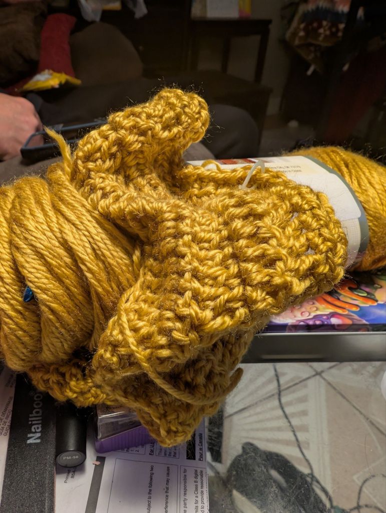 pxl_20260131_1233351326750799633554676766